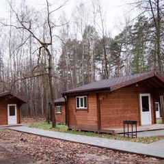 Дачный клуб Подберезовик, Алексинский район, Тульская область