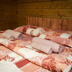 Дачный клуб Подберезовик, Алексинский район, Тульская область