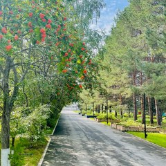 Санаторий Геолог, Тюмень, Тюменская область