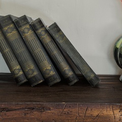 Вилла Фамма, Всеволожский район, Ленинградская область