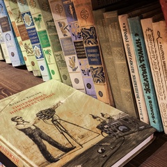 Вилла Фамма, Всеволожский район, Ленинградская область