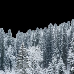 Глэмпинг Ладога-Фьорд, Питкярантский район, Республика Карелия