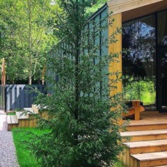 Глэмпинг The Dacha, Домодедово, Московская область