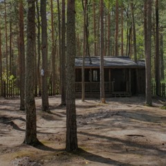 База отдыха Янтарный берег, Ломоносовский район, Ленинградская область