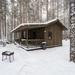 База отдыха Янтарный берег, Ломоносовский район, Ленинградская область