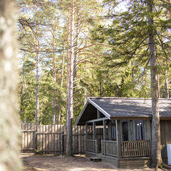 База отдыха Янтарный берег, Ломоносовский район, Ленинградская область