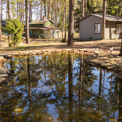 База отдыха Янтарный берег, Ломоносовский район, Ленинградская область
