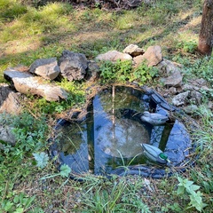 База отдыха Beretclub124, Березовский район, Красноярский край