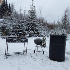 Глэмпинг Деревня Йети, Дмитров, Московская область