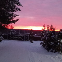 Агротуристический комплекс Лесной скит, Калязинский район, Тверская область