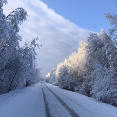 Агротуристический комплекс Лесной скит, Калязинский район, Тверская область