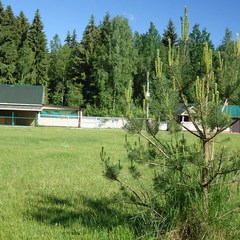 Агротуристический комплекс Лесной скит, Калязинский район, Тверская область