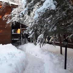 База отдыха Сосен Бор, Домодедово, Московская область