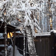 База отдыха Сосен Бор, Домодедово, Московская область