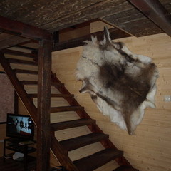 База отдыха Сосен Бор, Домодедово, Московская область