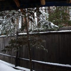 База отдыха Сосен Бор, Домодедово, Московская область