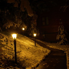 База отдыха Сосен Бор, Домодедово, Московская область