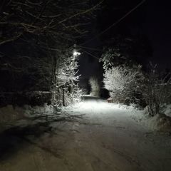 База отдыха Сосен Бор, Домодедово, Московская область