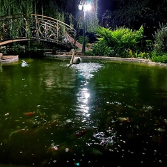 Вилла Соседи крота, Ставропольский район, Самарская область