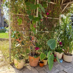 Вилла Соседи крота, Ставропольский район, Самарская область