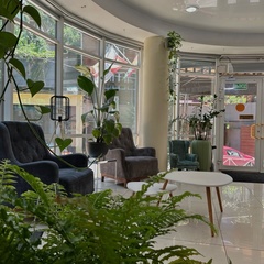 Гостиничный комплекс Bergs SPA & conference hotel, Сочи, Краснодарский край