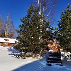 База отдыха Лесное озеро, Олонецкий район, Республика Карелия