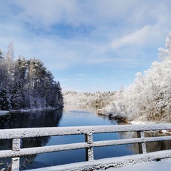 База отдыха Лесное озеро, Олонецкий район, Республика Карелия