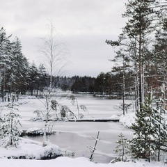 База отдыха Лесное озеро, Олонецкий район, Республика Карелия