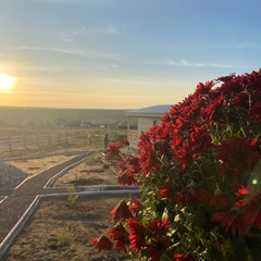 Туристическая деревня Просторы, Красноярский район, Самарская область