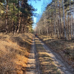 Туристическая деревня Просторы, Красноярский район, Самарская область