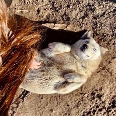 Туристическая деревня Просторы, Красноярский район, Самарская область