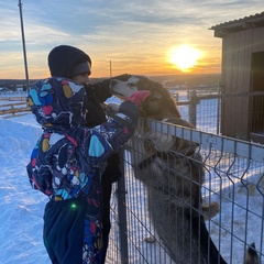 Туристическая деревня Просторы, Красноярский район, Самарская область