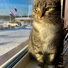 Туристическая деревня Просторы, Красноярский район, Самарская область