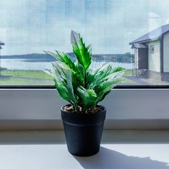 База отдыха Новинка, Олонецкий район, Республика Карелия