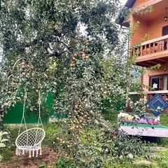 Гостевой дом Отдых у реки, Майкопский район, Республика Адыгея