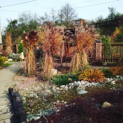 Гостевой дом Отдых у реки, Майкопский район, Республика Адыгея