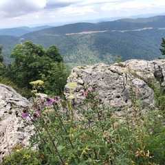 Гостевой дом Отдых у реки, Майкопский район, Республика Адыгея