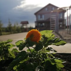 База отдыха и рыбалки Три реки, Лаишевский район, Татарстан