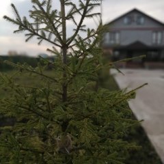 База отдыха и рыбалки Три реки, Лаишевский район, Татарстан