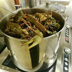 База отдыха и рыбалки Три реки, Лаишевский район, Татарстан