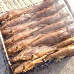 База отдыха и рыбалки Три реки, Лаишевский район, Татарстан