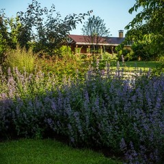 Гостевой дом  Надежда, Тульская область