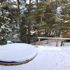 Гостиный двор Тина, Алексинский район, Тульская область