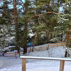 Гостиный двор Тина, Алексинский район, Тульская область