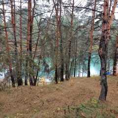 Гостиный двор Тина, Алексинский район, Тульская область