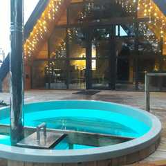 Гостиный двор Тина, Алексинский район, Тульская область