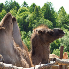 База отдыха Кипячий ключ, Нижегородская область