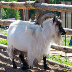 База отдыха Кипячий ключ, Нижегородская область