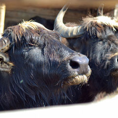 База отдыха Кипячий ключ, Нижегородская область