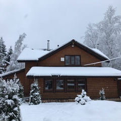 Коттедж Лебедь , Выборгский район, Ленинградская область